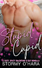 Stupid Cupid: a cozy, spicy, small-town, paranormal, 90s Valentine’s Day novella