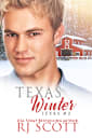 Texas Winter (Texas Series Book 2)