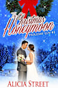 The Christmas Honeymoon 