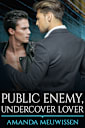 Public Enemy, Undercover Lover