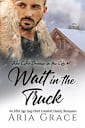Wait in the Truck: An MM Age Gap Daddy Romance (Blue Collar Daddies in the City Book 1)