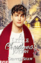 A Little Christmas: Joyson: An MM Age Gap Holiday Romance