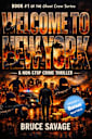 WELCOME TO NEW YORK: Book #1 of the Ghost Crew series.