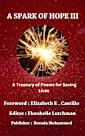 A SPARK OF HOPE III