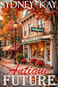 Antique Future: a small town, instalove, healing together one hour romance short read (Mittersill Antiques Book 1)
