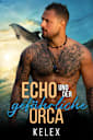 Echo und der gefährliche Orca