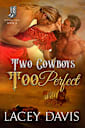 Two Cowboys Too Perfect (Blessing, Texas Book 4)