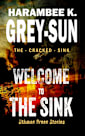 Welcome to The Sink