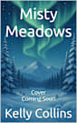 Misty Meadows (A Port Promise Novel Book 3)