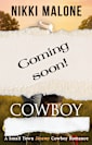 Cowboy, I Lied (Cahill Cattle Company, #3)