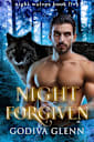 Night Forgiven