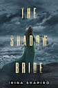 The Shadow Bride: A Nicole Rayburn Historical Mystery Book 3 (Nicole Rayburn Historical Mysteries)