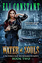 Water of Souls (A Victoria Cage Necromancer Novel Book 2)