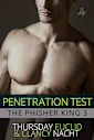 Penetration Test (The Phisher King Book 3)