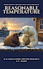 Reasonable Temperature (Bad Little Falls Book 4)