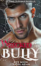 Wrecked By The Bully, Book 4 : A Frenemies to Lovers Dark Academy Romance (Dark Cravings)
