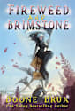 Fireweed and Brimstone (Grim Reality Series)