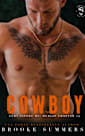 Cowboy (Fury Vipers MC: Dublin Chapter Book 4)