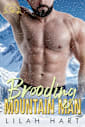 Brooding Mountain Man (Seduction Summit Lodge Book 2)