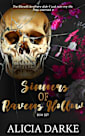 Sinners of Ravens Hollow Box Set 