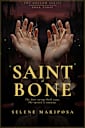 SAINT OF BONE: Book 3 of The Hollow