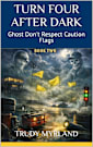 Ghost Don’t Respect Caution Flags: BOOK TWO (Turn Four After Dark 2)