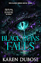Black Ruins Falls (The Elder Series Book 3)