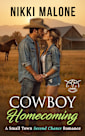 Cowboy Homecoming (Cahill Cattle Company, #2)