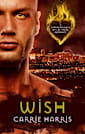 Wish (The Supernaturals of Las Vegas, #3)