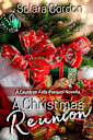 A Christmas Reunion (Cauldron Falls)