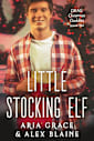 Little Stocking Elf: M/M Daddy Kink Christmas Romance