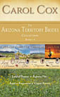 The Arizona Territory Brides Collection: Land of Promise, Refining Fire, Road to Forgiveness, Copper Sunrise