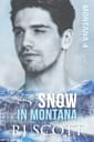 Snow in Montana