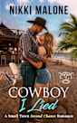 Cowboy, I Lied (Cahill Cattle Company, #3)