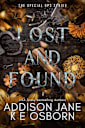 Lost and Found (The Special Ops Series, #3)