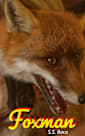 Foxman: A Paranormal Shifter Romance