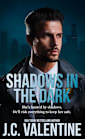 Shadows in the Dark (Blackridge Detectives Book 1)