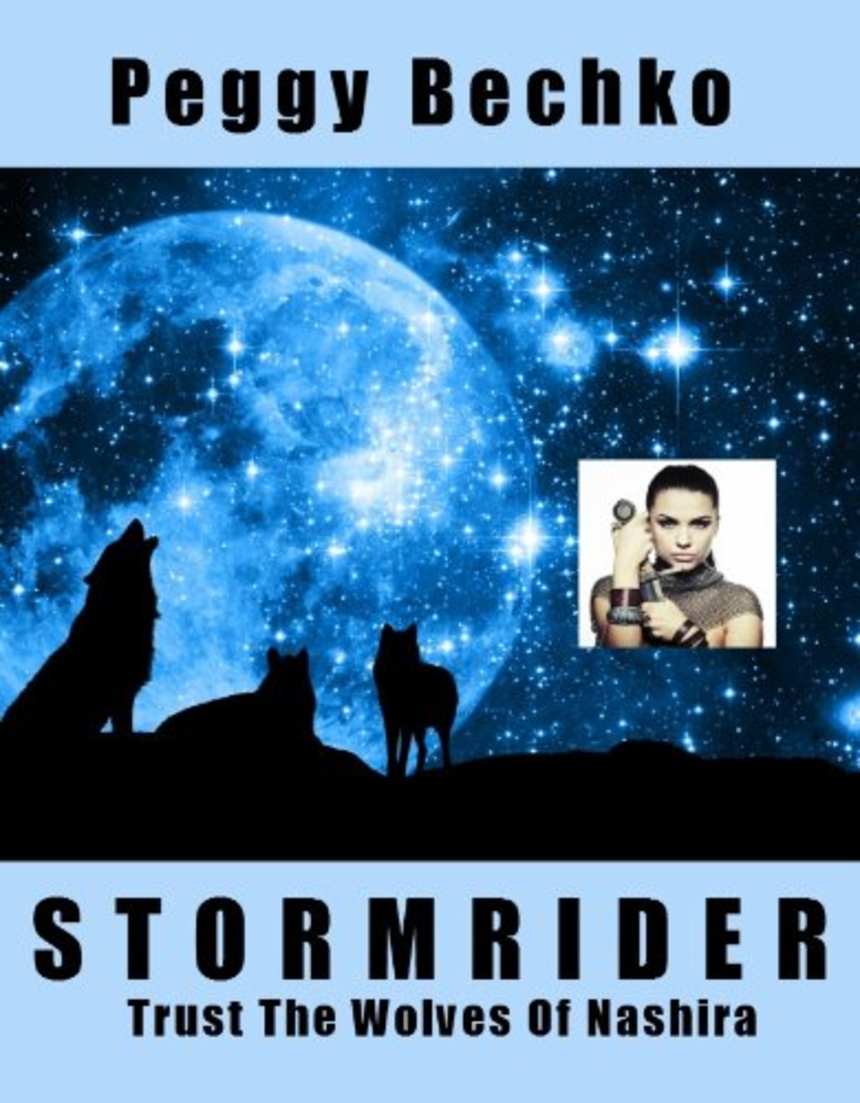 Stormrider by Peggy Bechko