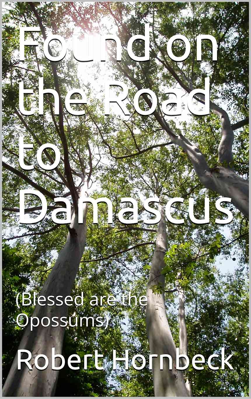 Found on the Road to Damascus : (Blessed are the Opossums) by Robert Hornbeck