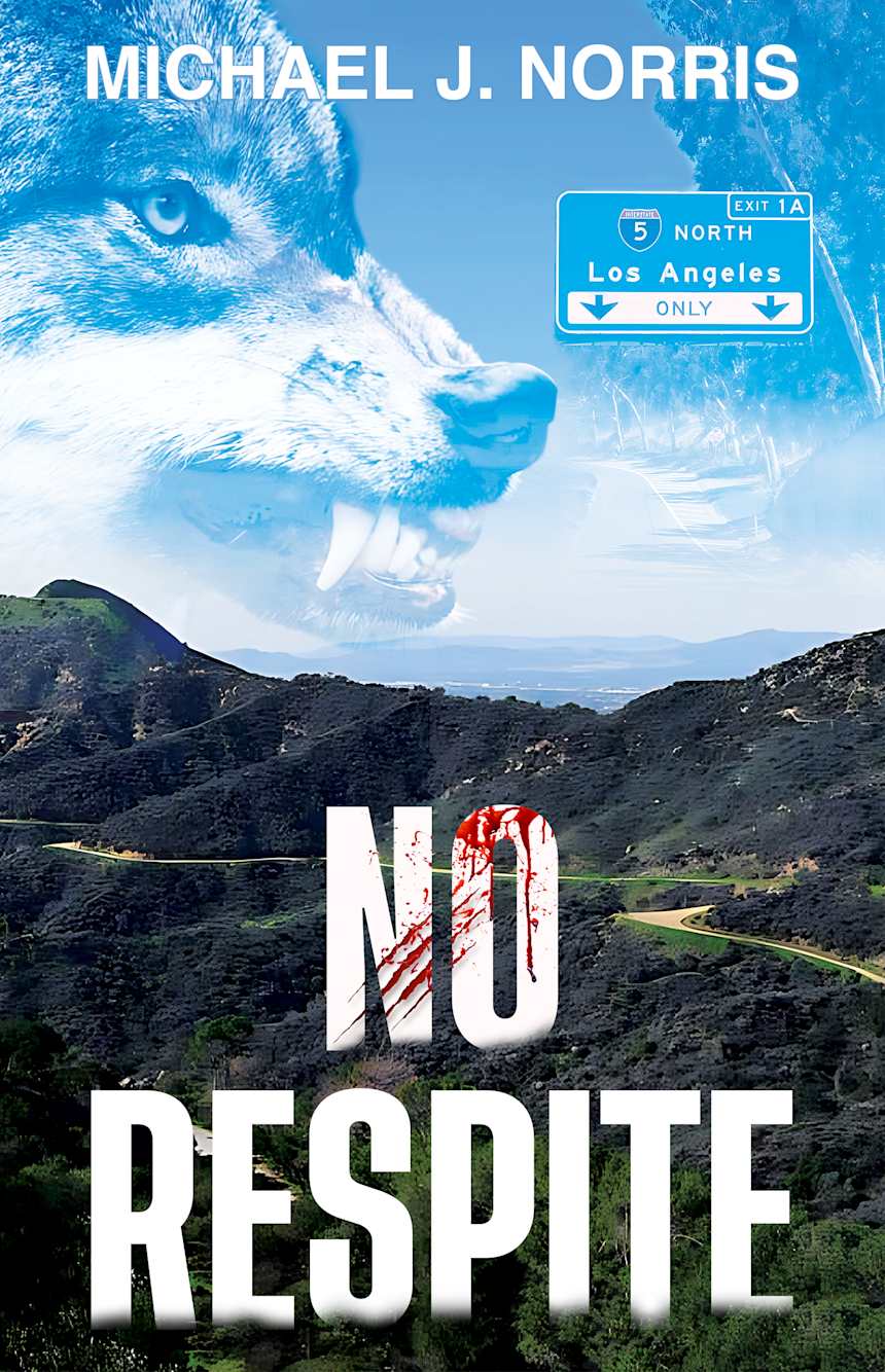 No Respite by Michael J Norris