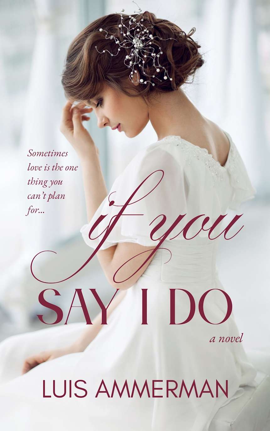 If You Say I Do by Luis Ammerman