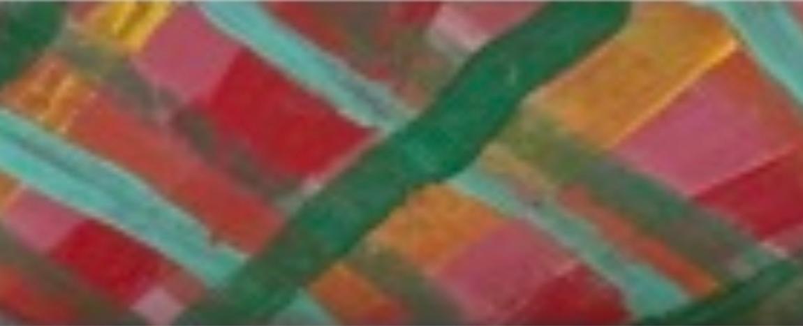 Mary Dawn Wagemann Gannon