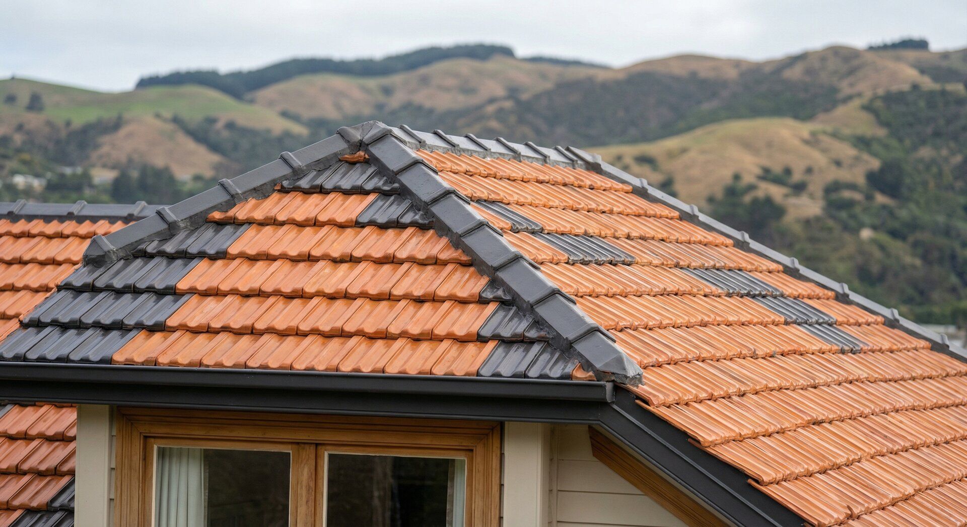 Metal Roof Painting in Wellington: Complete Guide to Long-Lasting Results