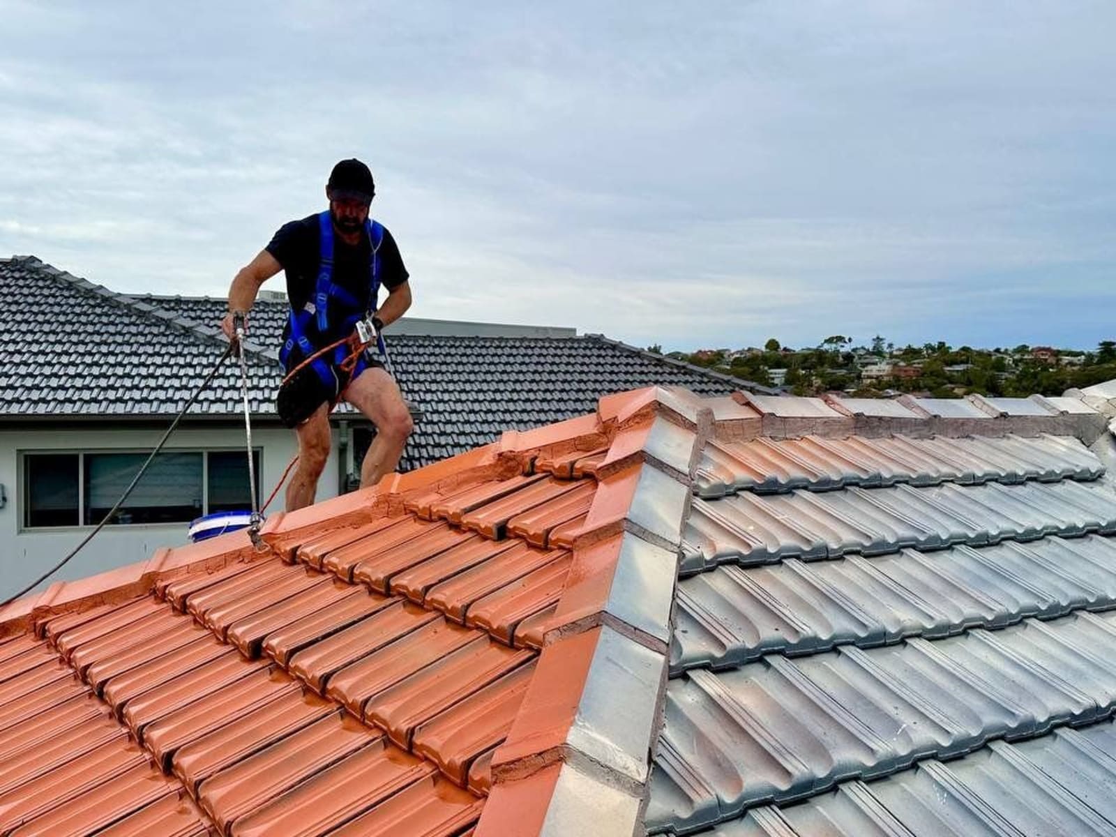 How Much Does Roof Painting Cost in Wellington, NZ?