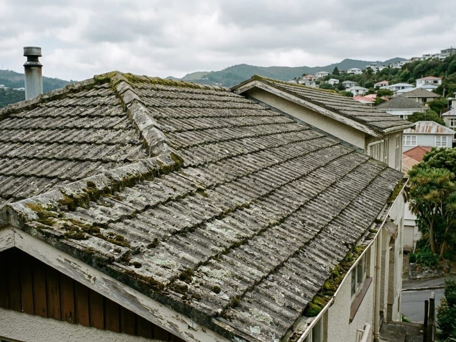 Faded concrete tile roof with moss and lichen on a Wellington house