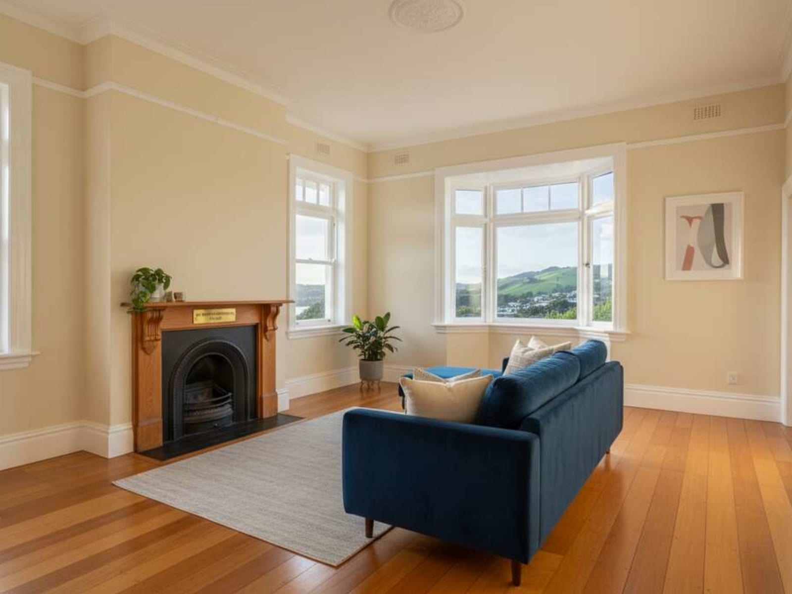 Paint Stripping Cost Wellington 2026
