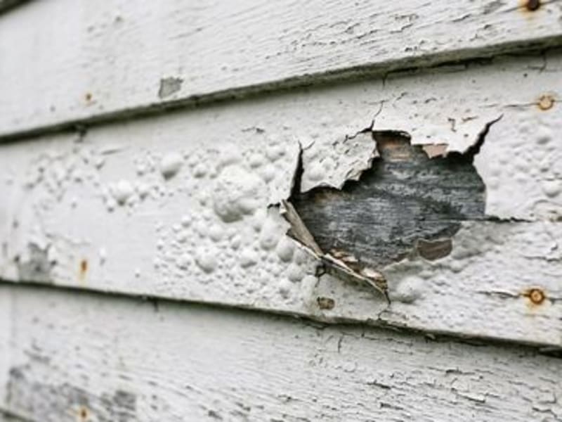 Blistering, peeling or flaking: what each kind of paint failure tells you