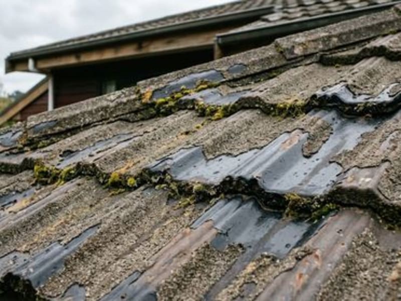 Can a decramastic roof be painted, or does it need replacing?