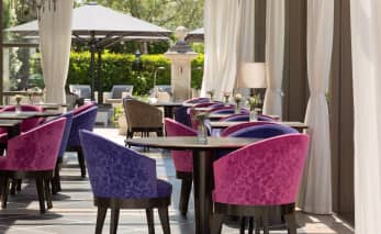 Restaurant Le Domaine du Mas de Pierre Saint-Paul-de-Vence - thalasso Méditerranée