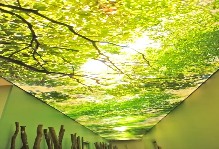 Soin thalasso B'O Cottage Bagnoles de l'Orne - thalasso Normandie